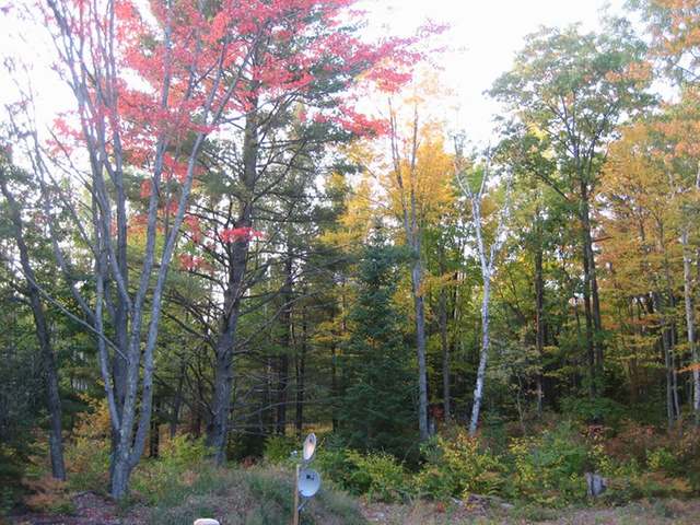 3061 Bartman Road Rhinelander, WI 54501 - Photo 3 of 14 Gallery Image 3