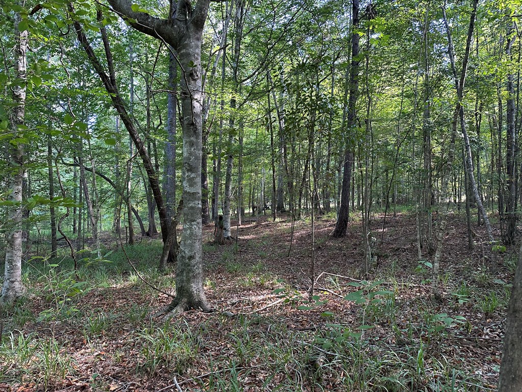 Undisclosed Address Ozark, AL 36360 - Photo 2 of 4