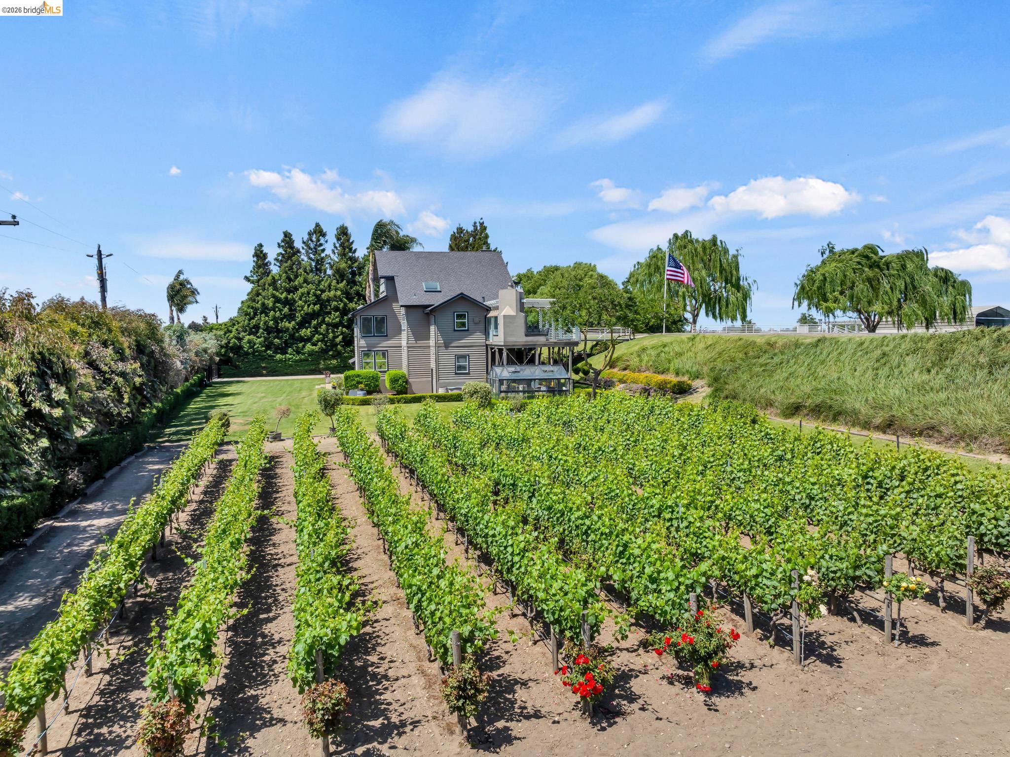 17035 Terminous Road Isleton, CA 95641 - Photo 5 of 48 View of front facade featuring agricultural plots and a view of rural / pastoral area