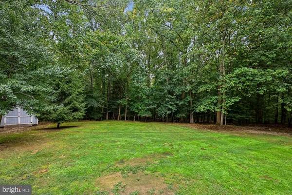 a view of a green field with trees in the background