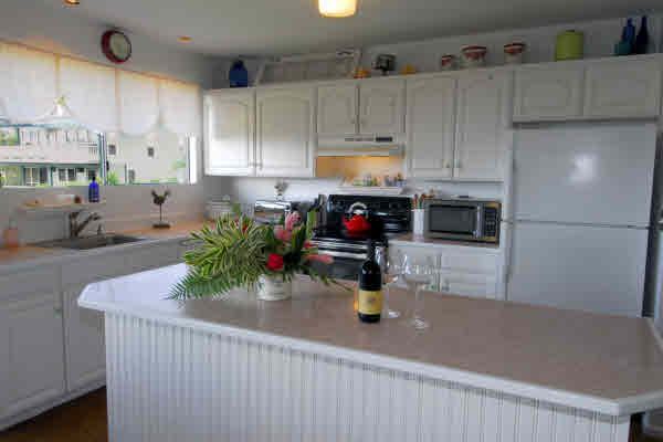3968 Aka Road Koloa, HI 96756 - Photo 4 of 21 Gallery Image 4