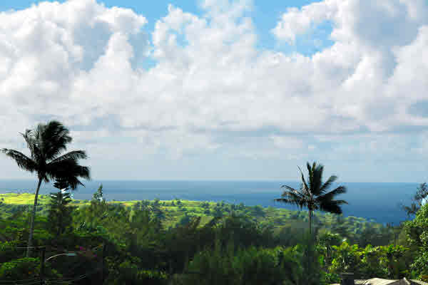 3968 Aka Road Koloa, HI 96756 - Photo 9 of 21 Gallery Image 9