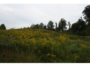 1639 Powder Branch Road Johnson City, TN 37601 - Photo 13 of 15 Photo 13