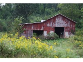 1639 Powder Branch Road Johnson City, TN 37601 - Photo 5 of 15 Photo 5