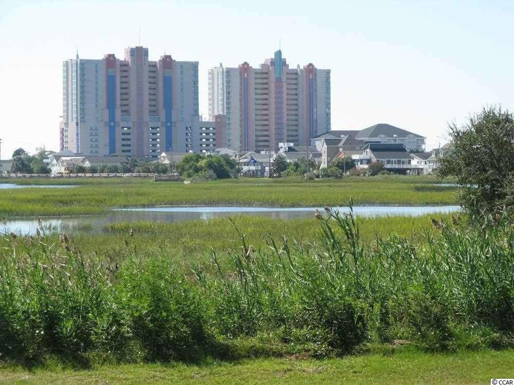 Lot 118 Tarpon Pond Road North Myrtle Beach, SC 29582 - Photo 14 of 14 Gallery Image 14