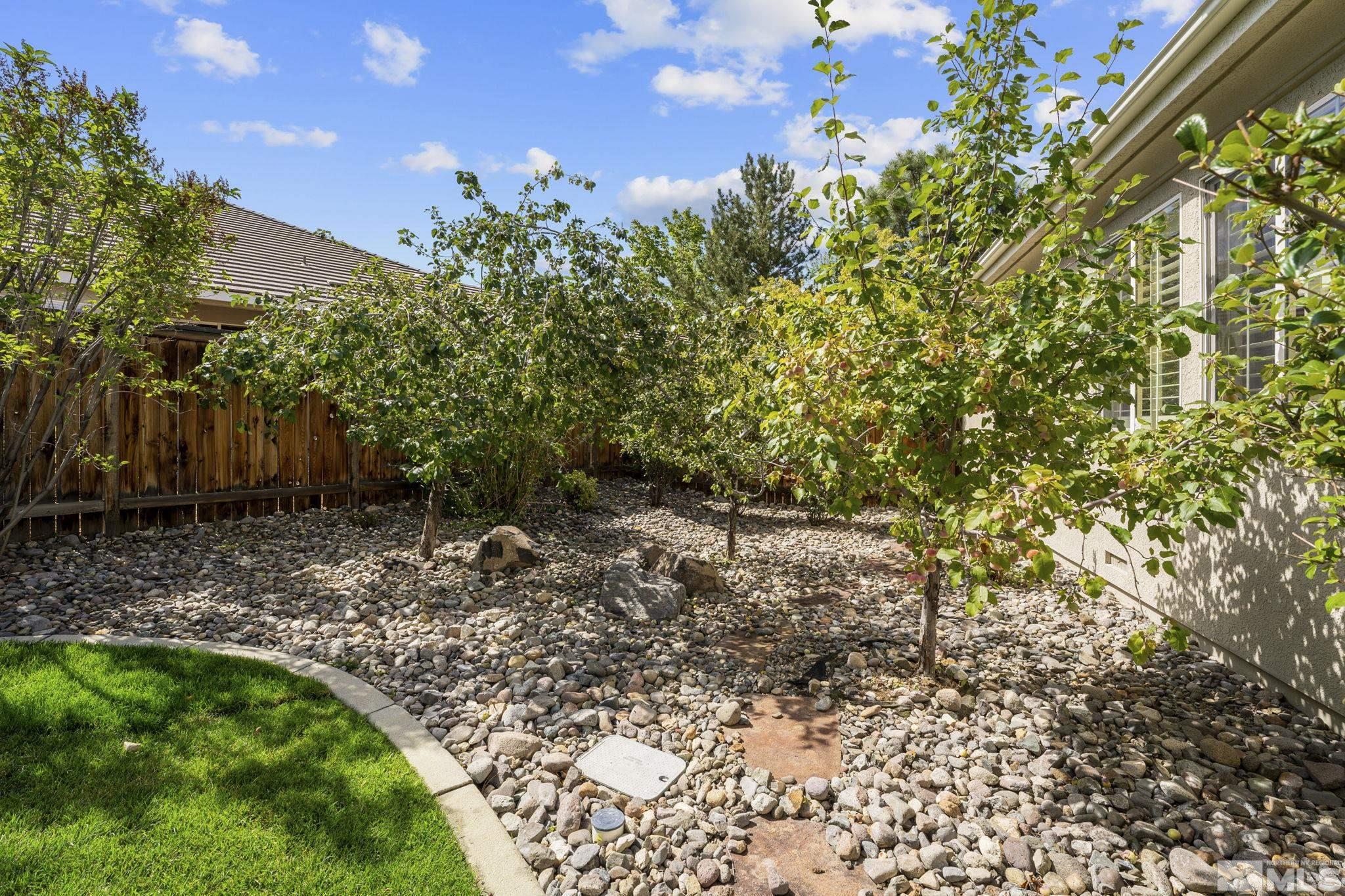 8150 Willow Ranch Trail Reno, NV 89523 - Photo 26 of 32 a backyard of a house with lots of green space