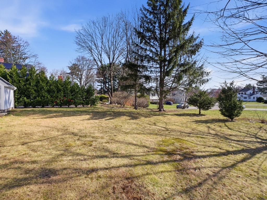58 Maple Street Framingham, MA 01702 - Photo 30 of 35 a view of yard with tree