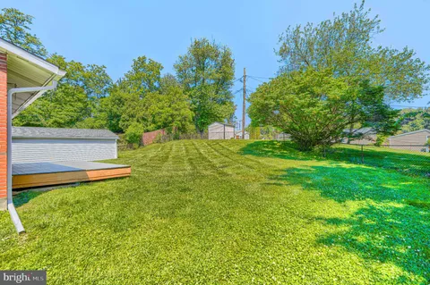 a view of a garden with a bench