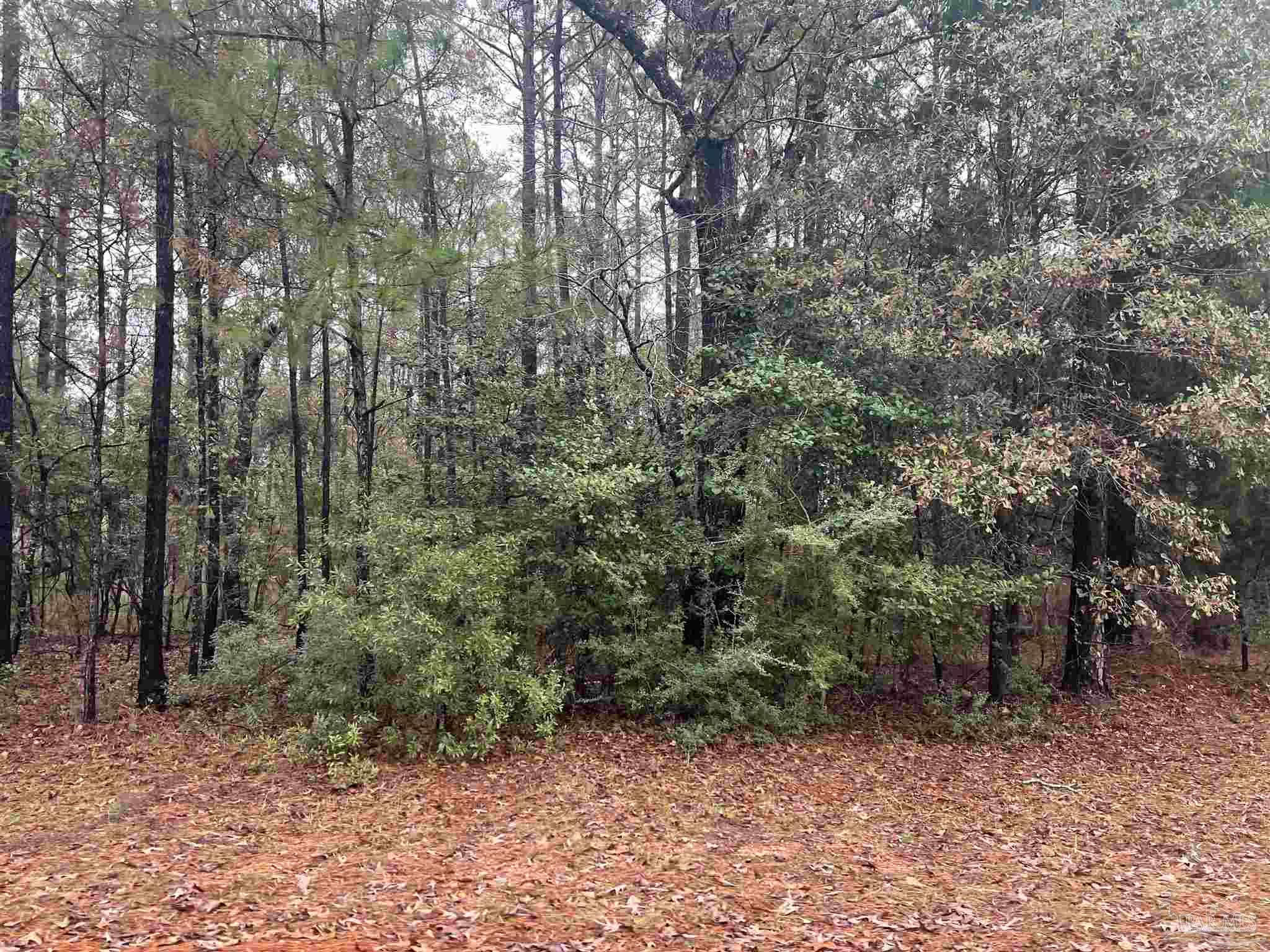 68000-block Scranage Road Atmore, AL 36502 - Photo 3 of 6