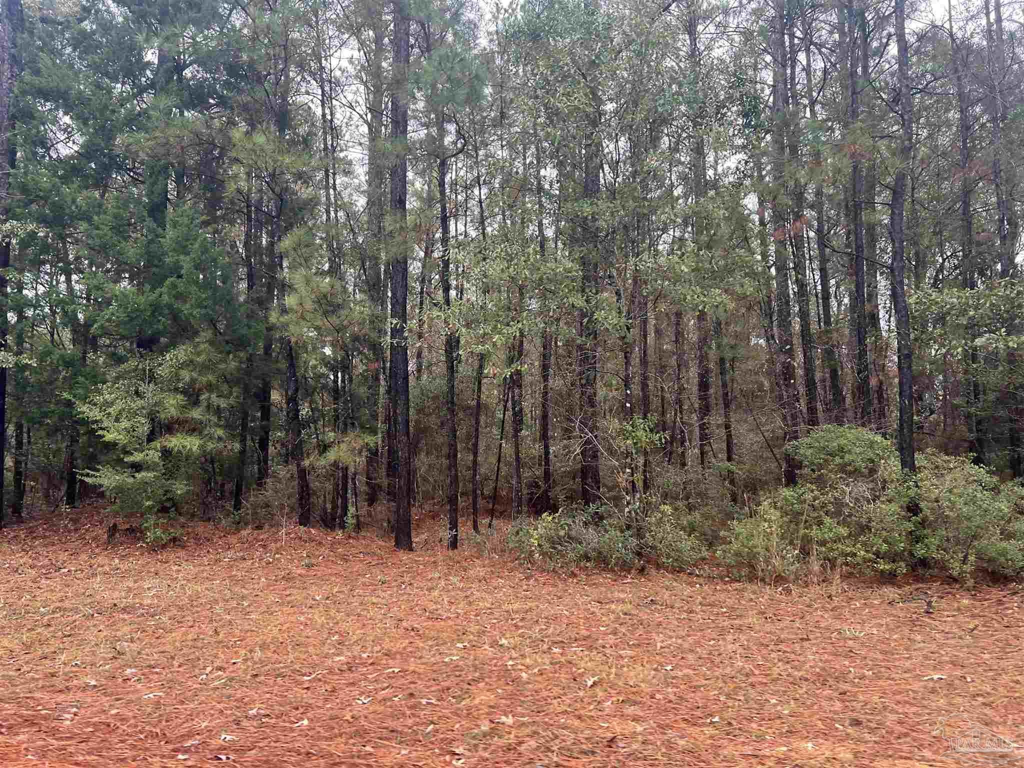 68000-block Scranage Road Atmore, AL 36502 - Photo 4 of 6