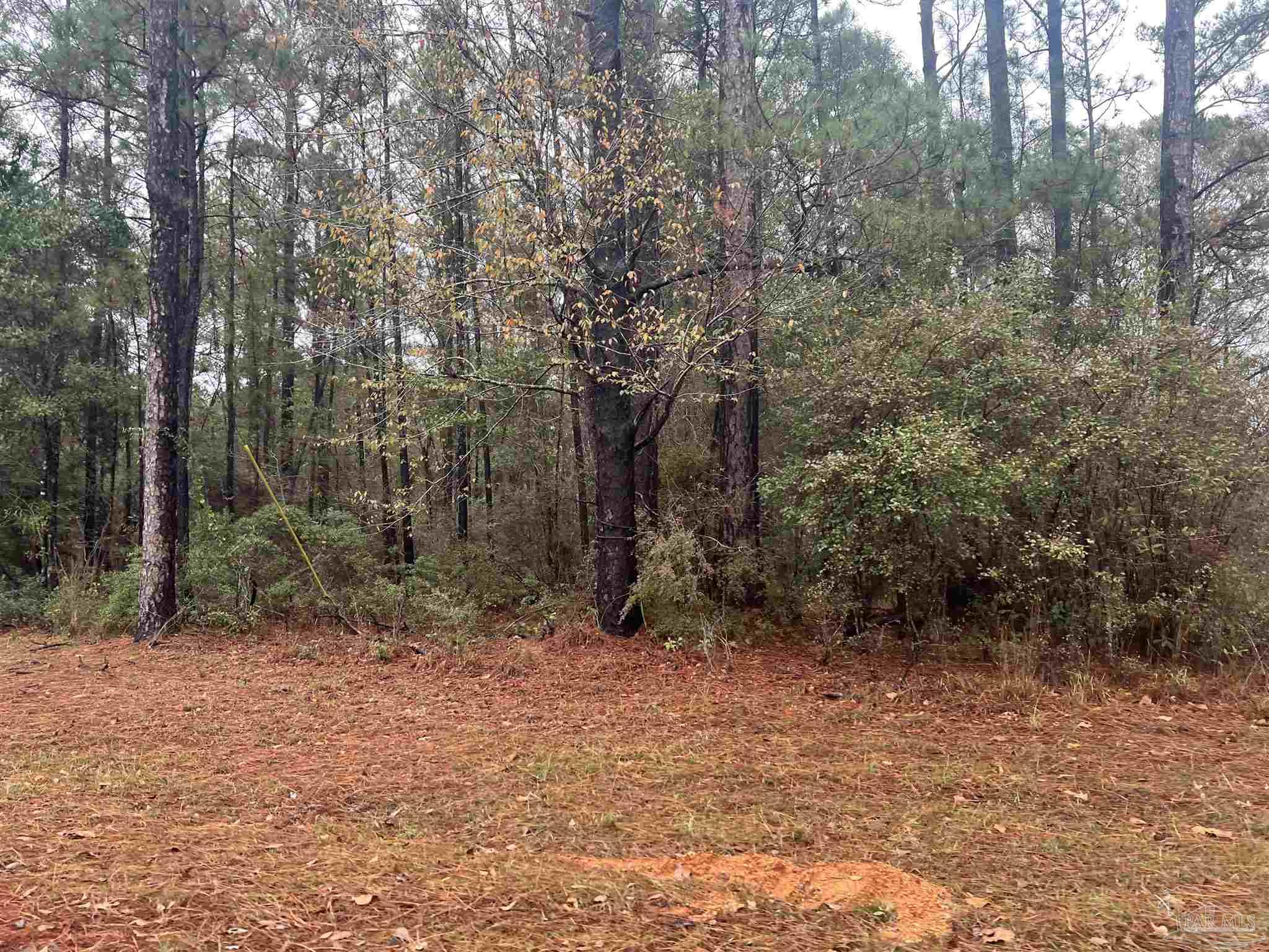 68000-block Scranage Road Atmore, AL 36502 - Photo 5 of 6