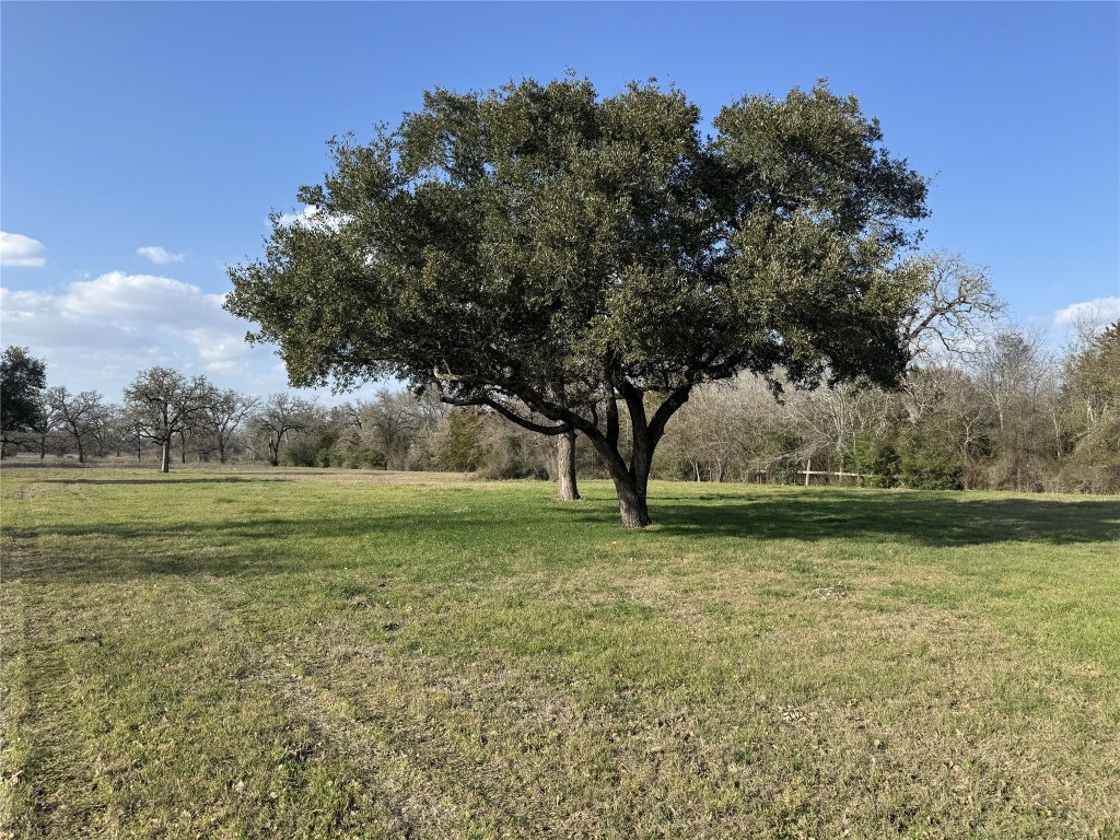 a view of outdoor space and yard