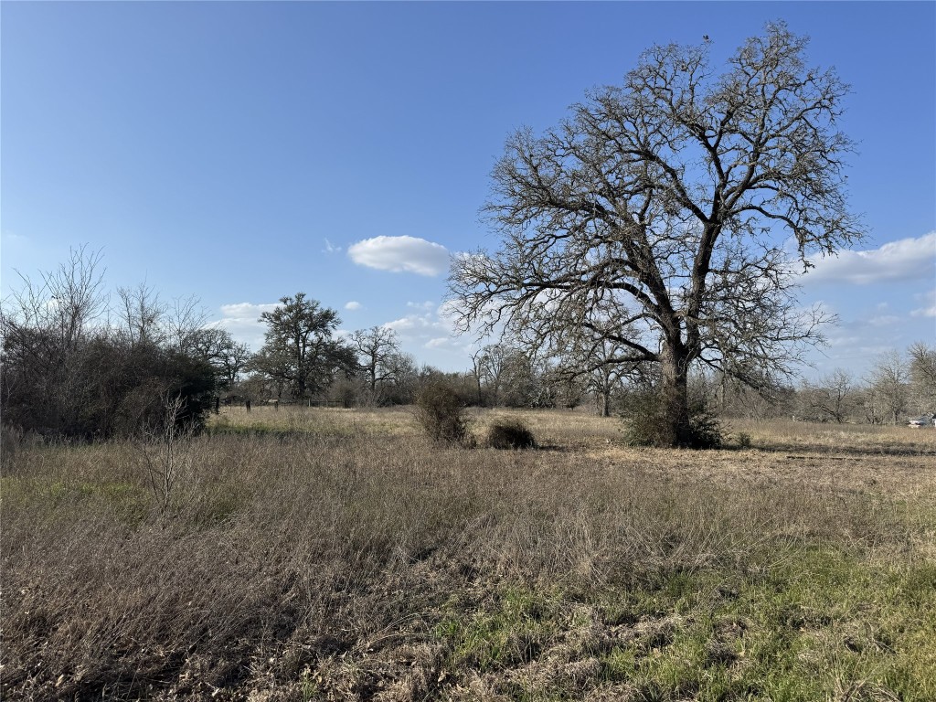 Tbd Lewis Road Burton, TX 77835 - Photo 3 of 12 a view of a field with trees in the background