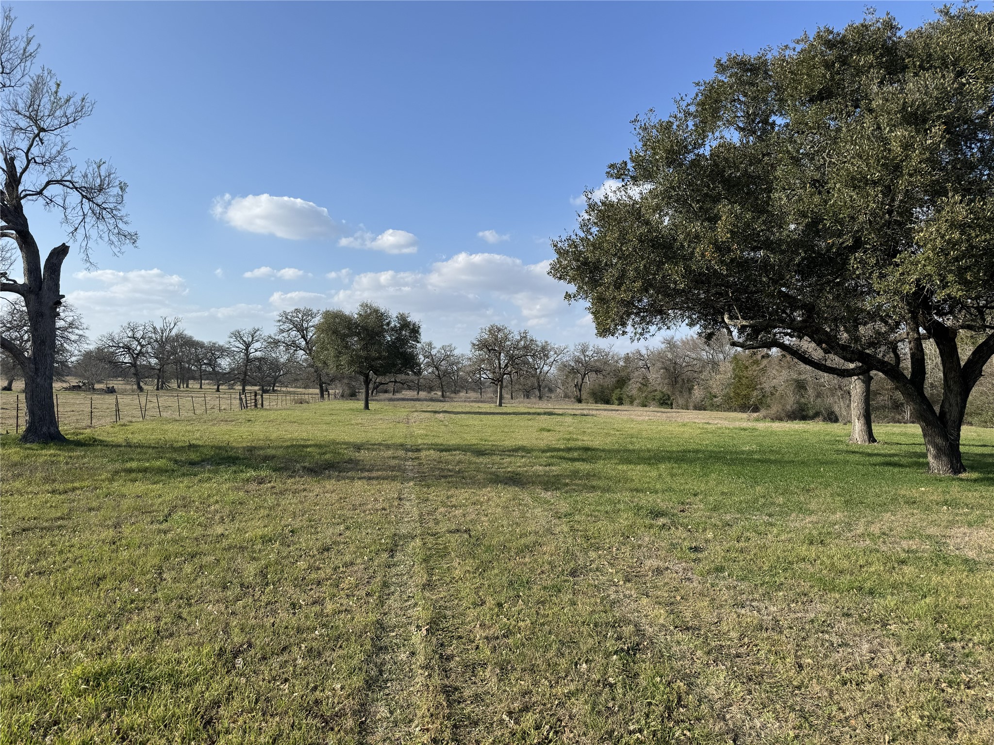 Tbd Lewis Road Burton, TX 77835 - Photo 4 of 12 a view of a green field