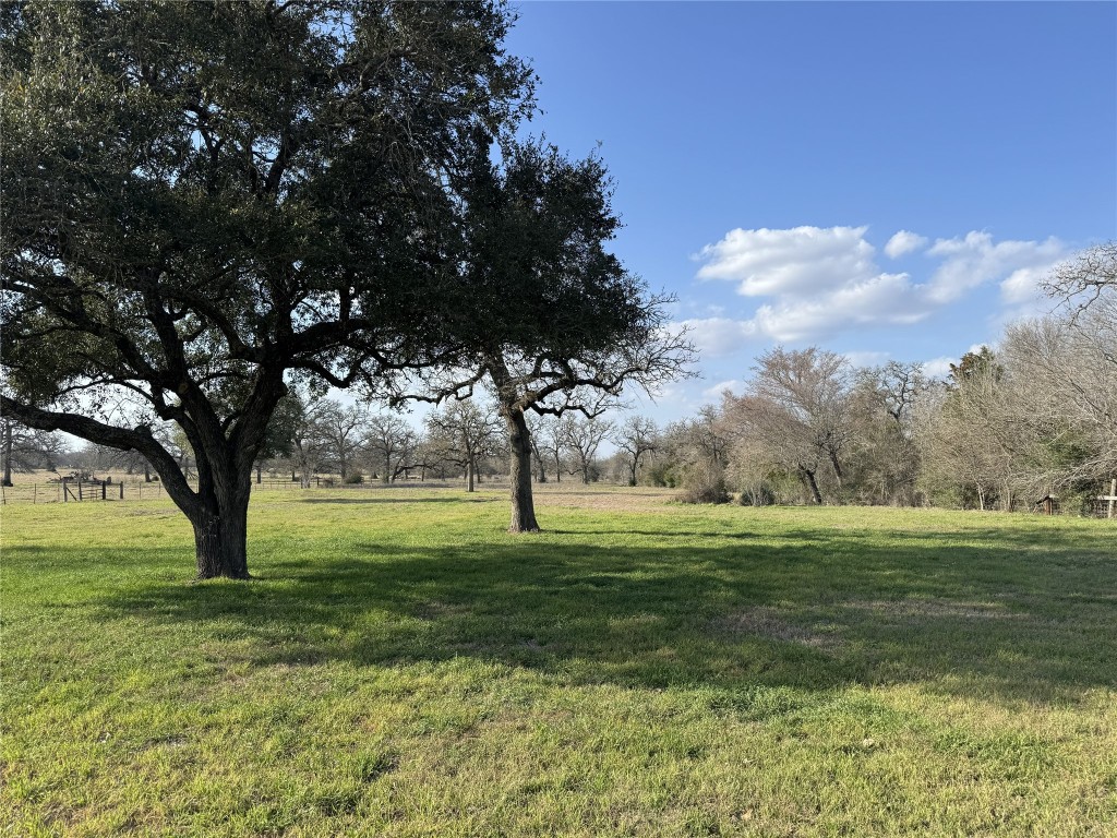 Tbd Lewis Road Burton, TX 77835 - Photo 5 of 12 a big yard with lots of green space and trees