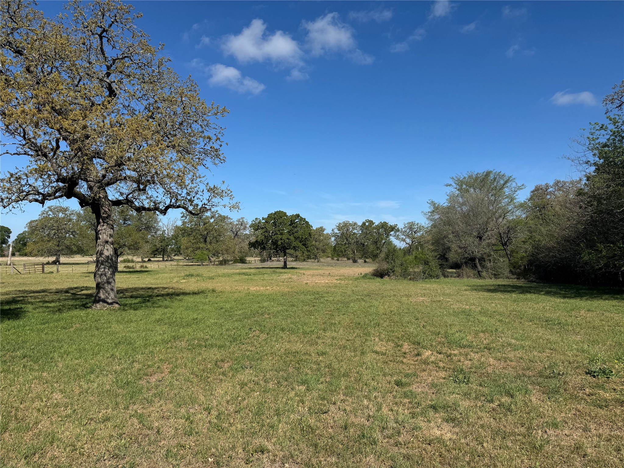 Tbd Lewis Road Burton, TX 77835 - Photo 10 of 12 a view of outdoor space and yard