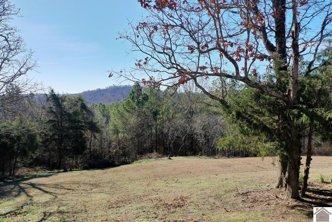 100 Alexander Road Dawson Springs, KY 42408 - Photo 12 of 50 Photo 12