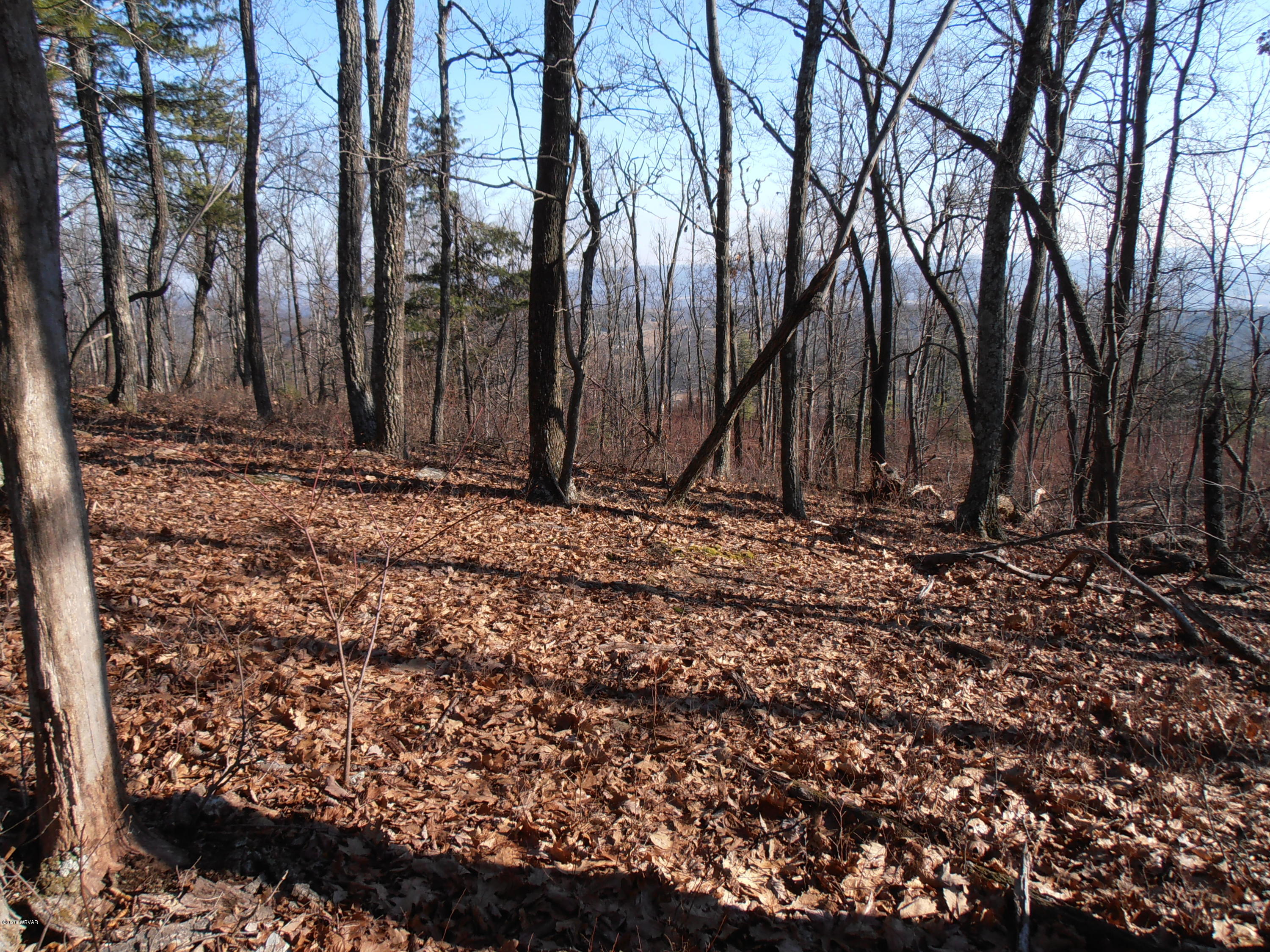 504 Furnace Run Road Jersey Shore, PA 17740 - Photo 29 of 36 PATCH PHOTOS 013