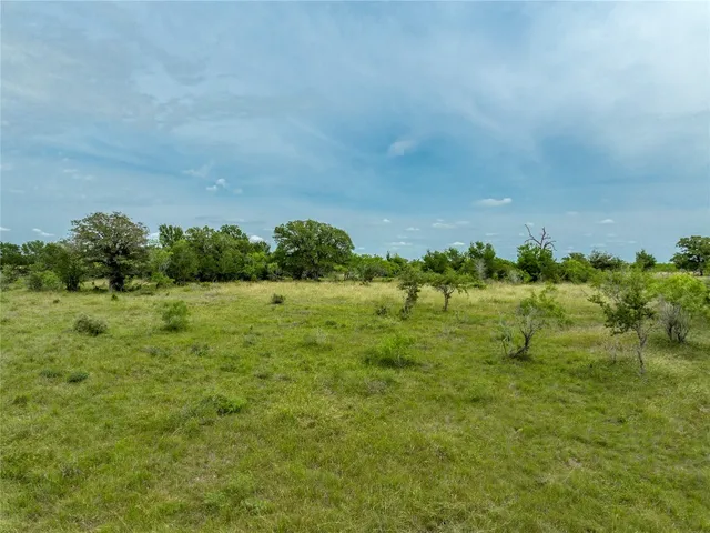 a view of a lake with lawn chairs and large trees