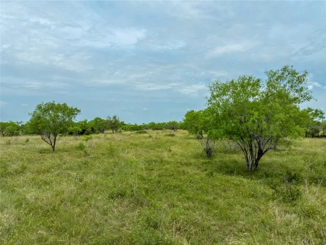 a big yard with lots of green space and fog