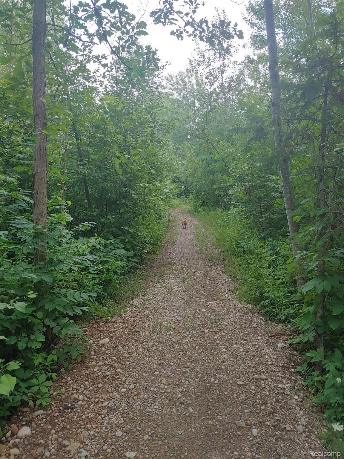 5960 Werth Road Alpena, MI 49707 - Photo 15 of 41 11.jpg