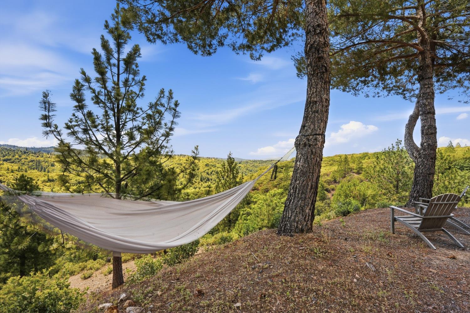 5595 Jasper-Ridge Murphys, CA 95247 - Photo 58 of 96 Imagine relaxing afternoons napping in the hammock.