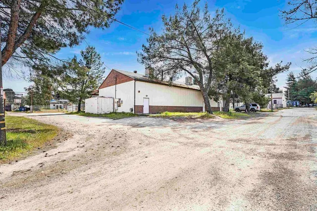 a view of yard with large tree