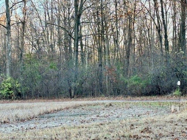 14235 Wanty Road Milan, MI 48160 - Photo 6 of 19