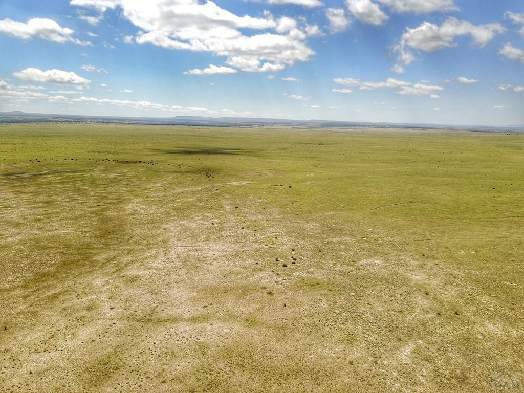 Lot 121 Turkey Ridge Ranch Walsenburg, CO 81089 - Photo 21 of 23