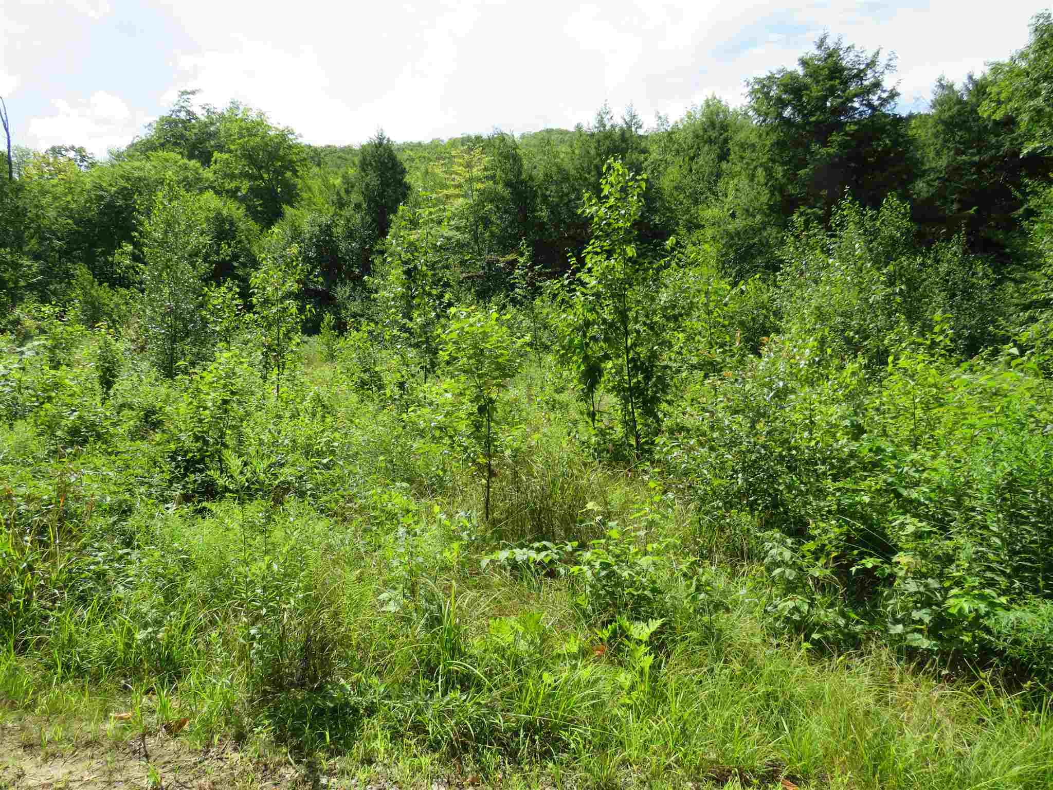 Lot 7-8 Hebron Road Alexandria, NH 03222 - Photo 2 of 27 Gallery Image 2