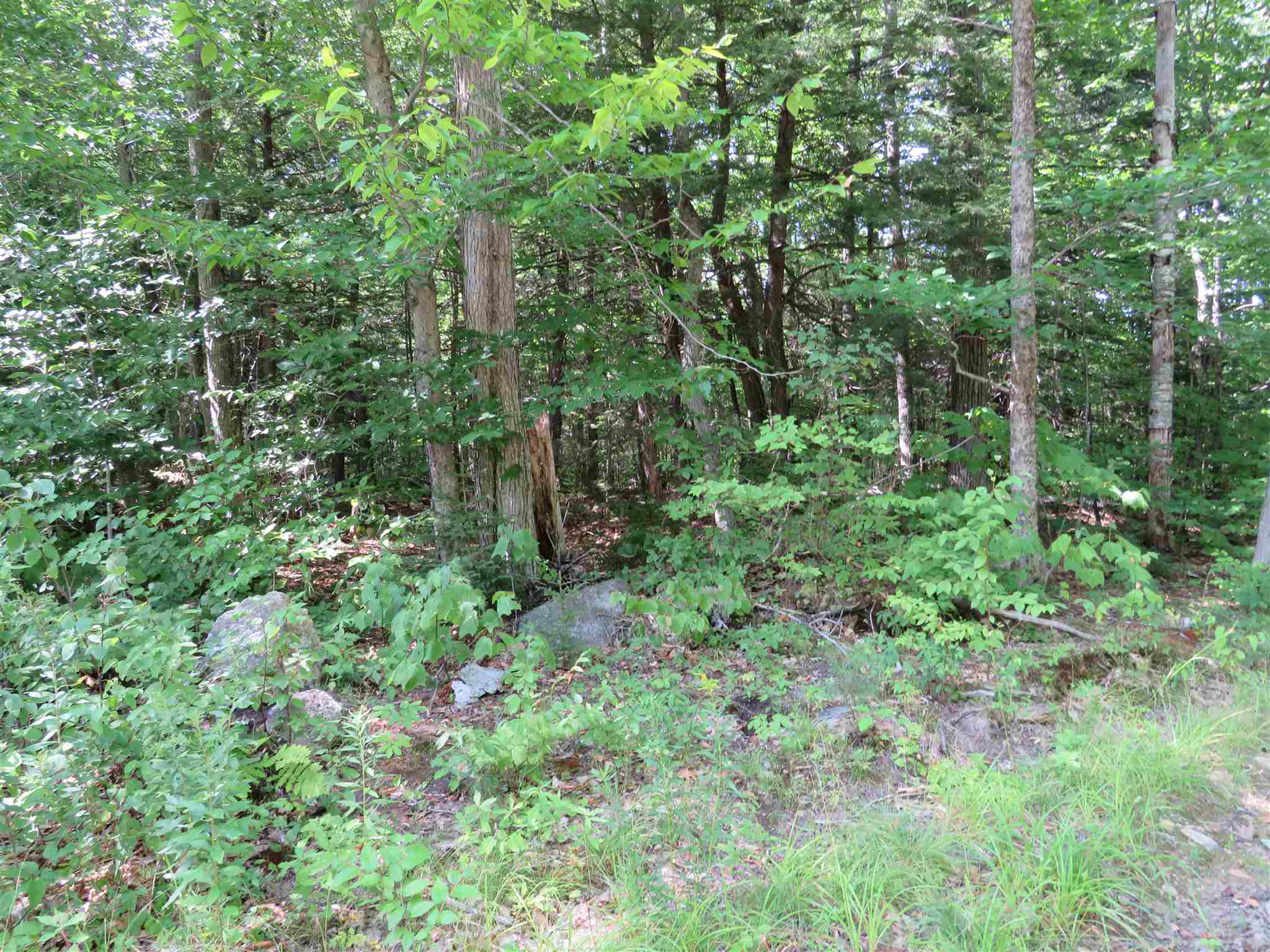Lot 7-8 Hebron Road Alexandria, NH 03222 - Photo 11 of 27 Gallery Image 11