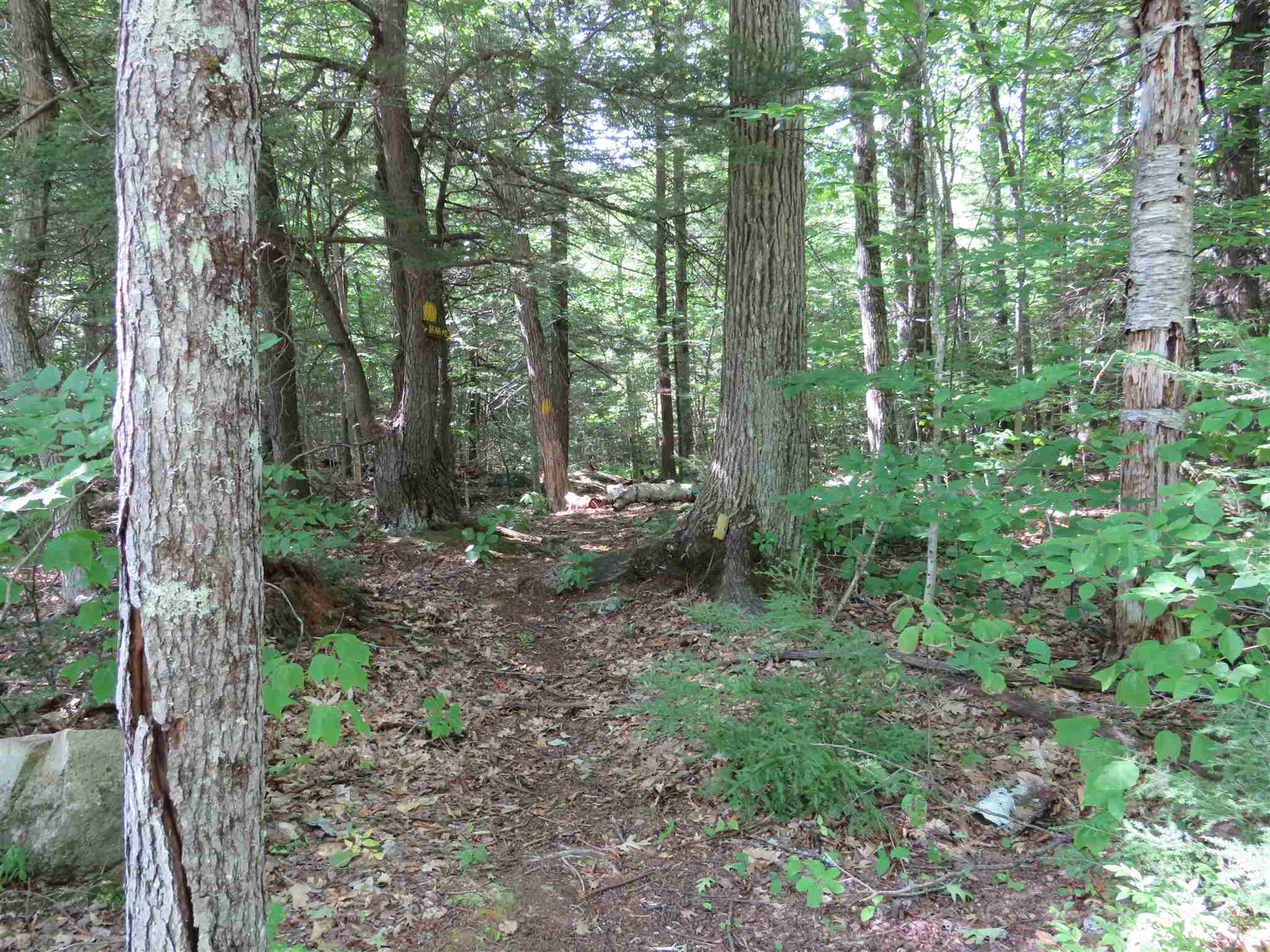 Lot 7-8 Hebron Road Alexandria, NH 03222 - Photo 12 of 27 Gallery Image 12
