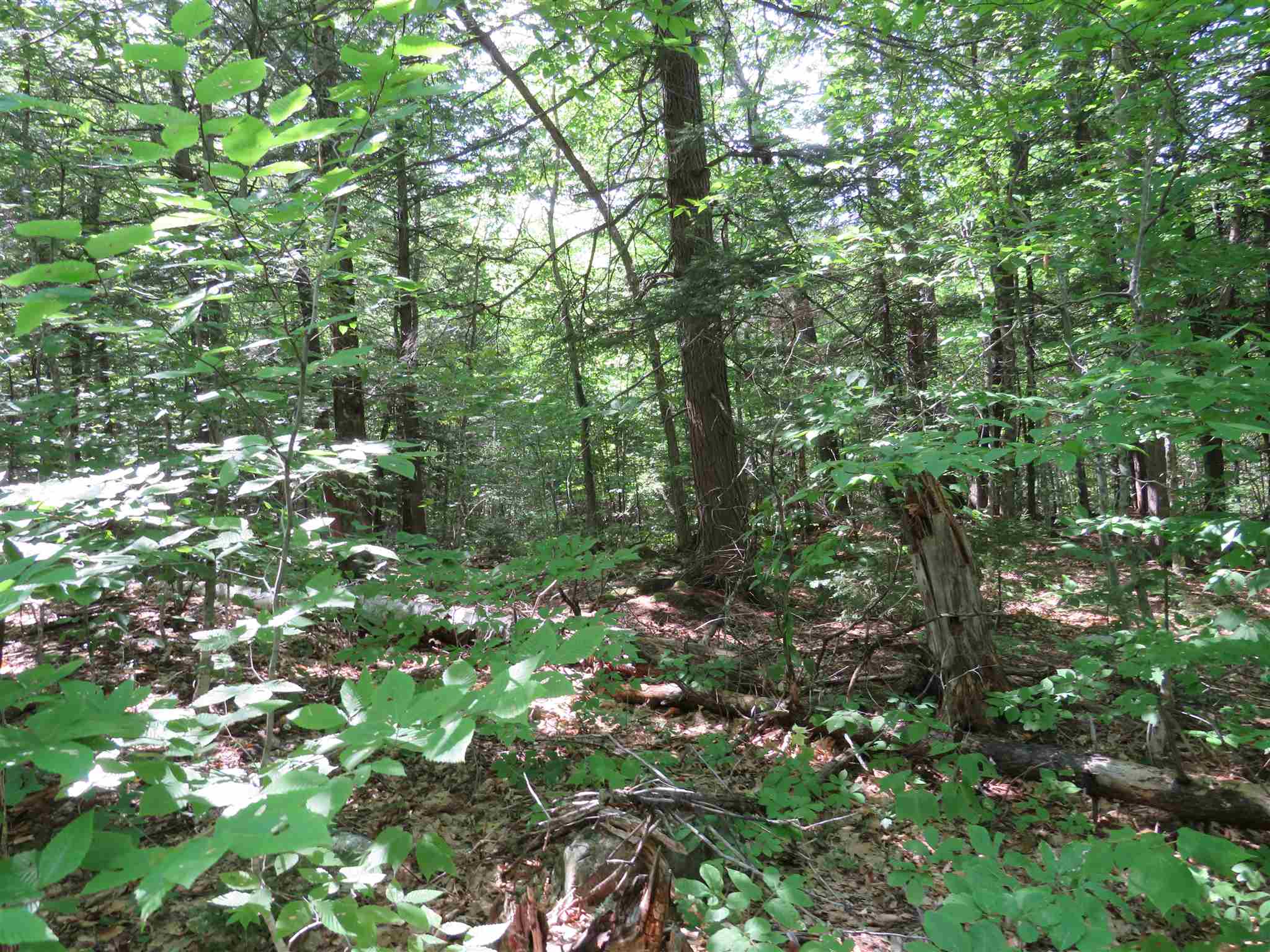 Lot 7-8 Hebron Road Alexandria, NH 03222 - Photo 13 of 27 Gallery Image 13