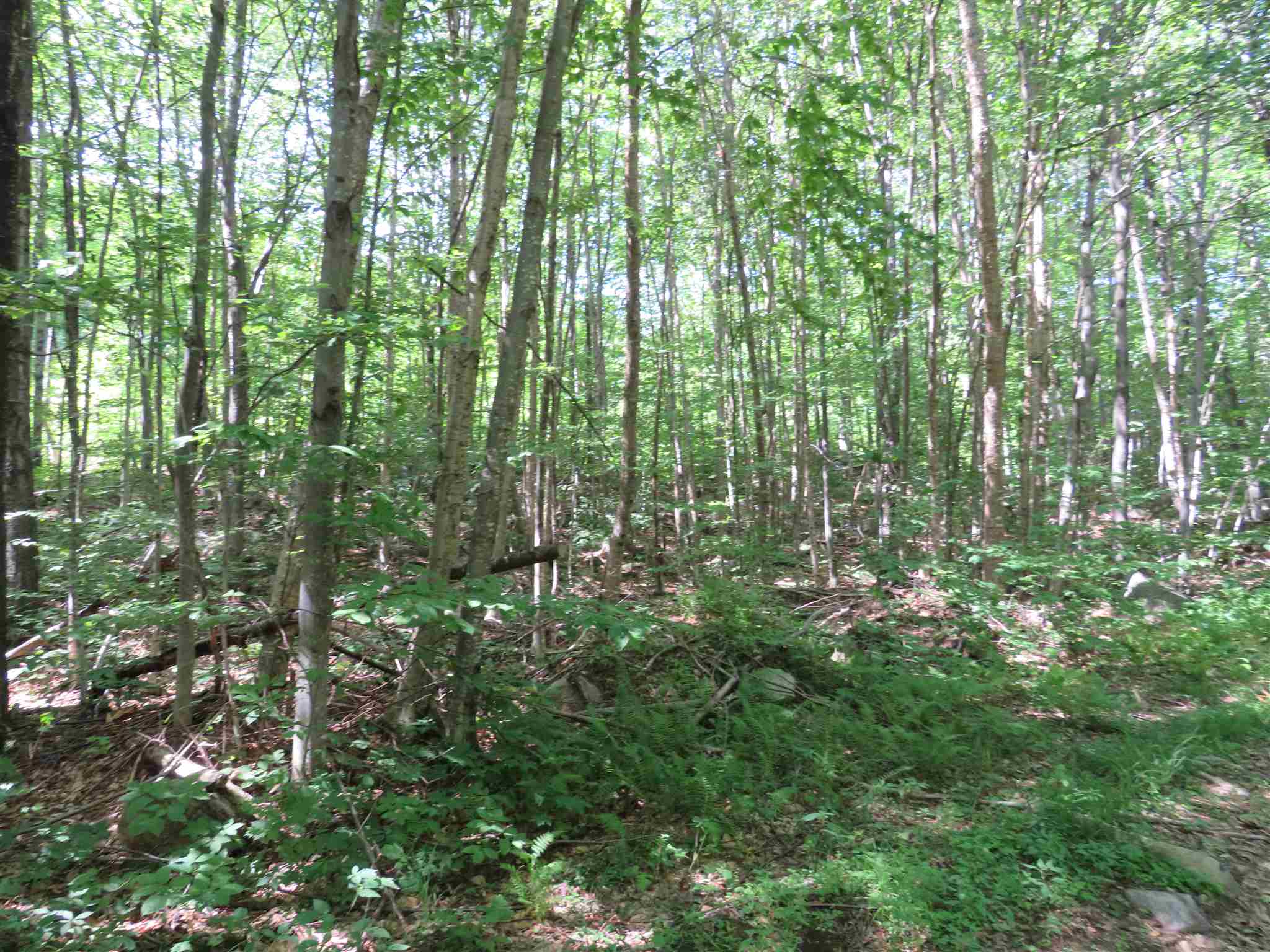 Lot 7-8 Hebron Road Alexandria, NH 03222 - Photo 15 of 27 Gallery Image 15