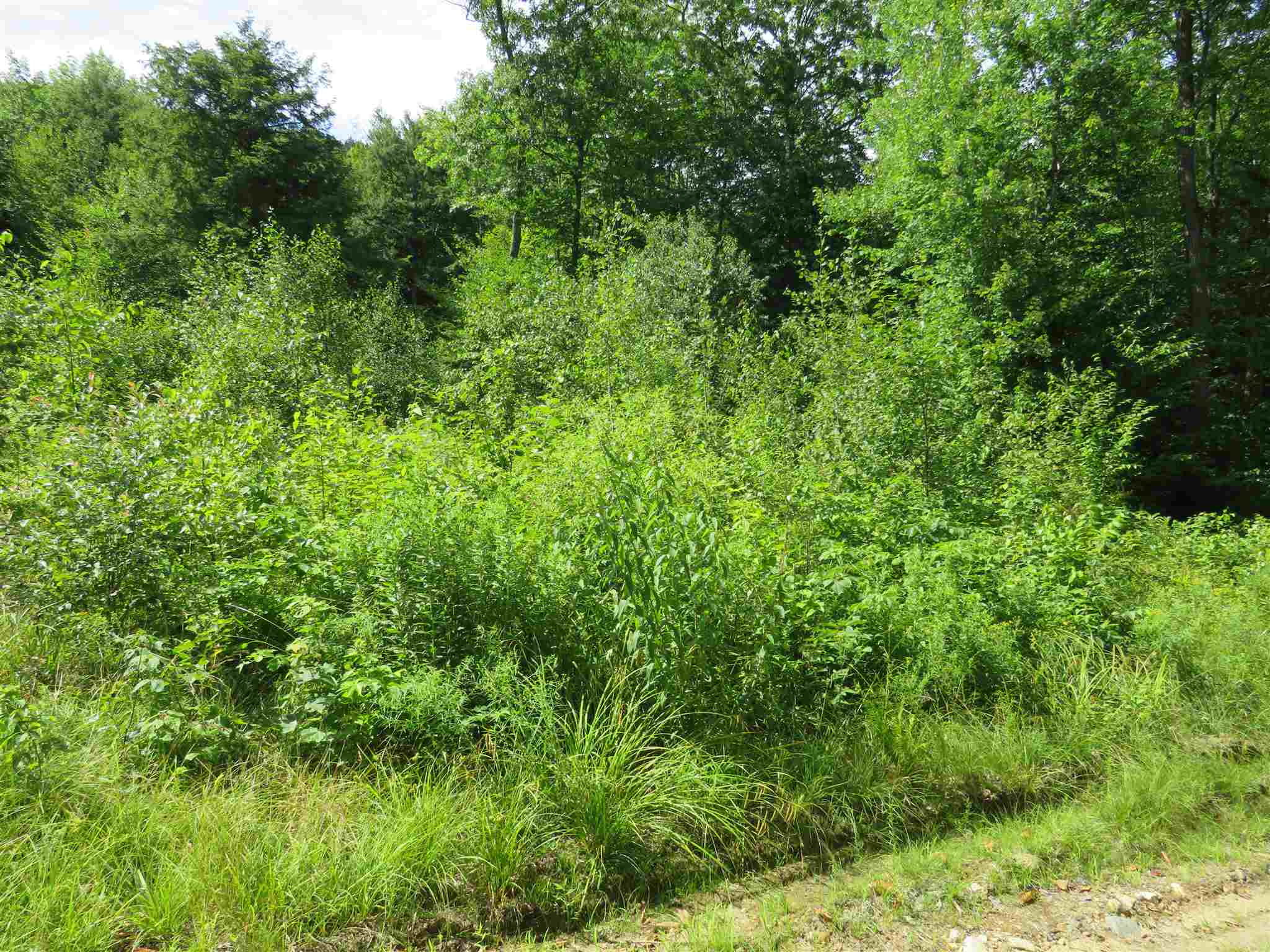 Lot 7-8 Hebron Road Alexandria, NH 03222 - Photo 3 of 27 Gallery Image 3