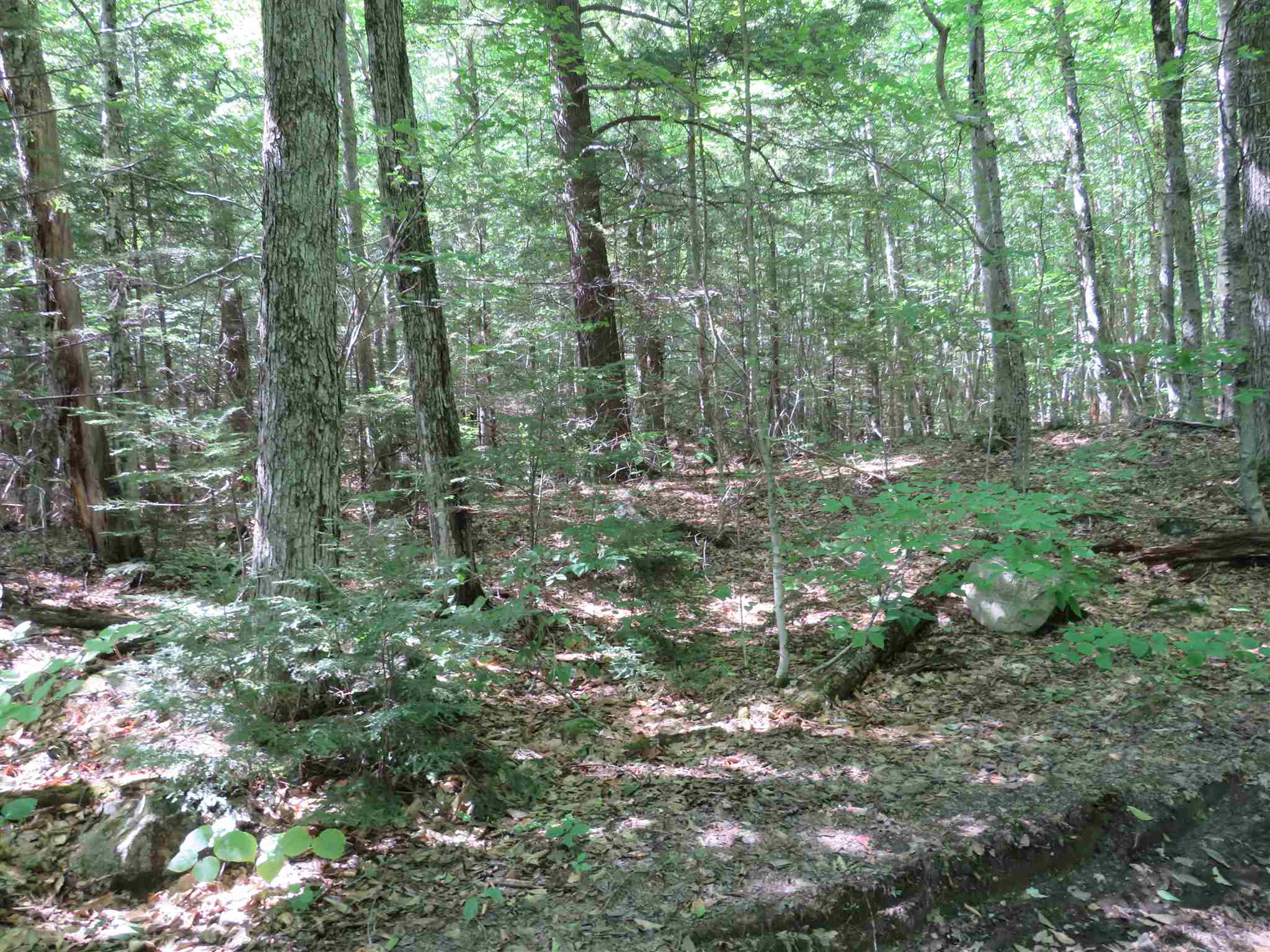 Lot 7-8 Hebron Road Alexandria, NH 03222 - Photo 21 of 27 Gallery Image 21