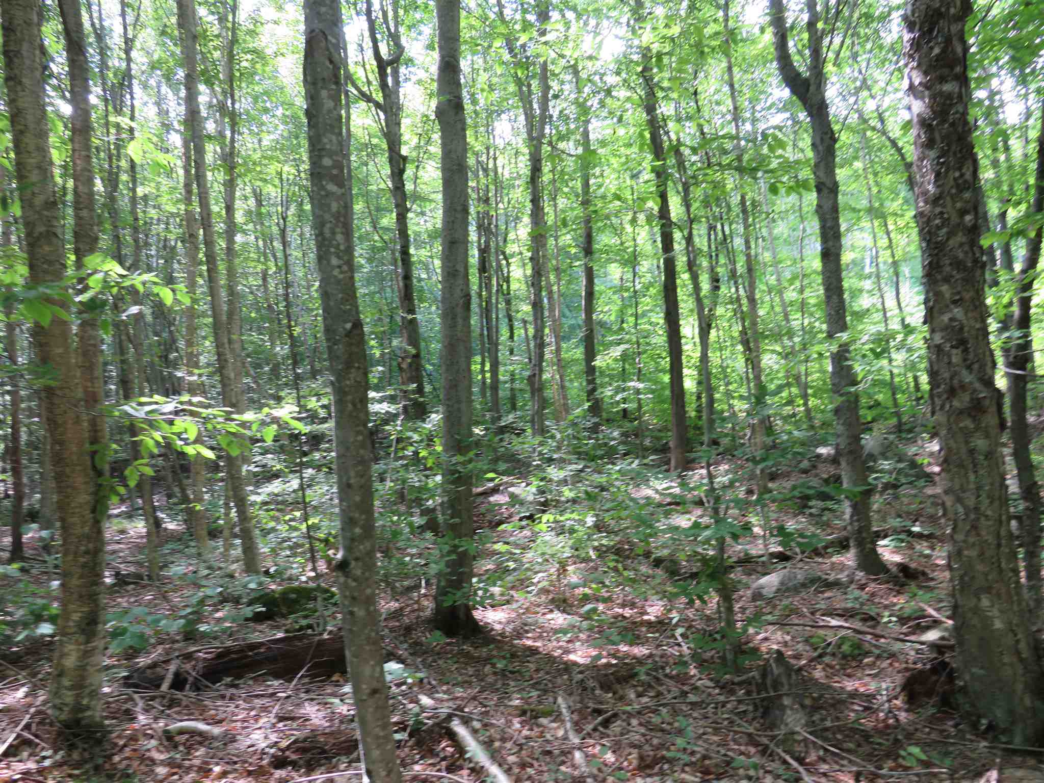 Lot 7-8 Hebron Road Alexandria, NH 03222 - Photo 23 of 27 Gallery Image 23