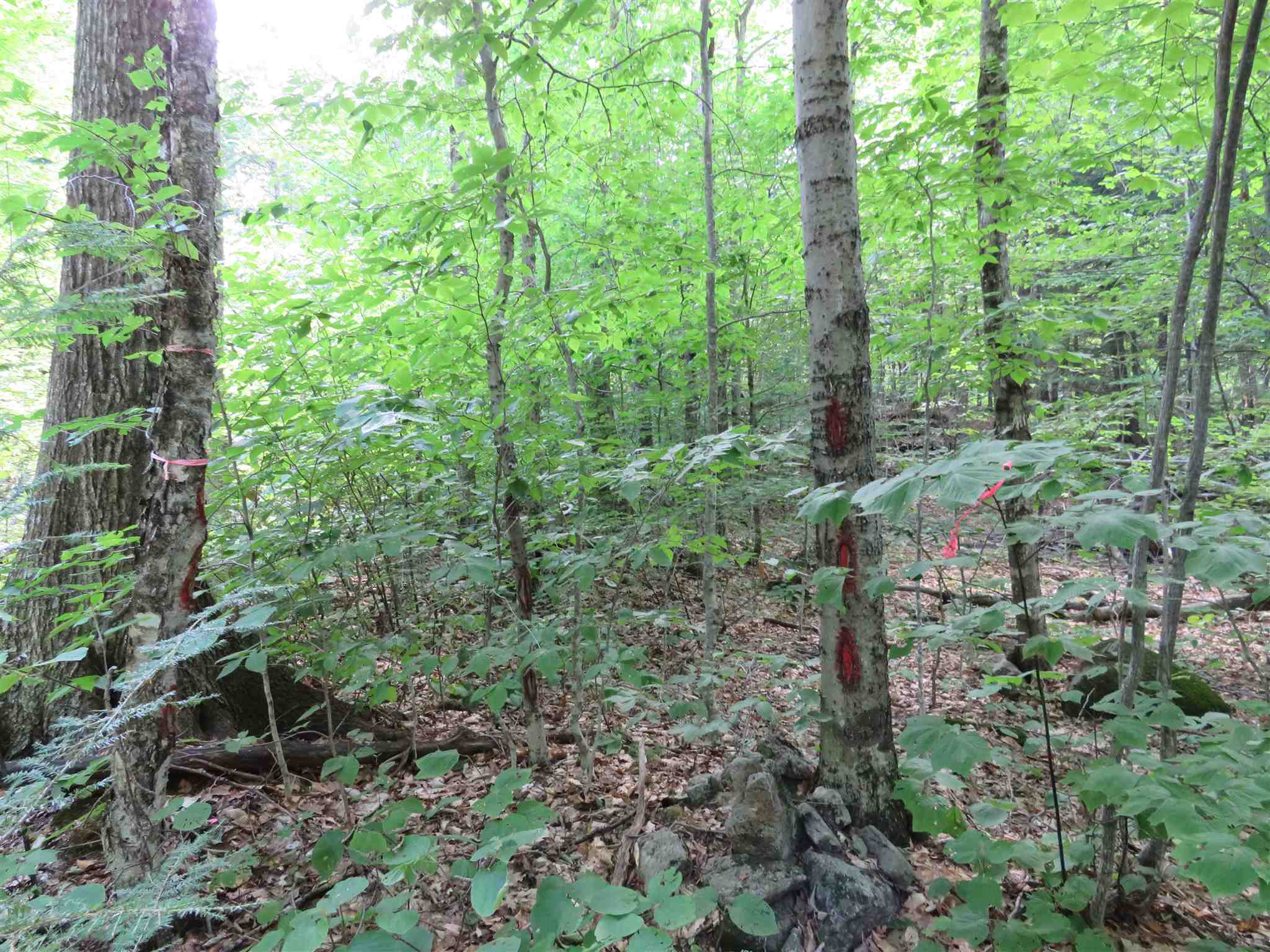 Lot 7-8 Hebron Road Alexandria, NH 03222 - Photo 26 of 27 Gallery Image 26