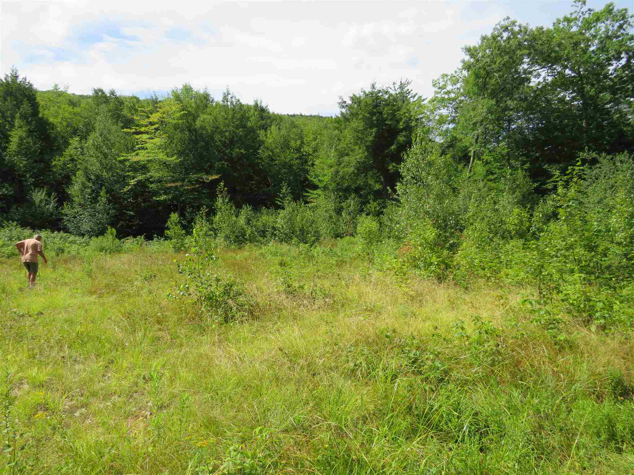 Lot 7-8 Hebron Road Alexandria, NH 03222 - Photo 4 of 27 Gallery Image 4