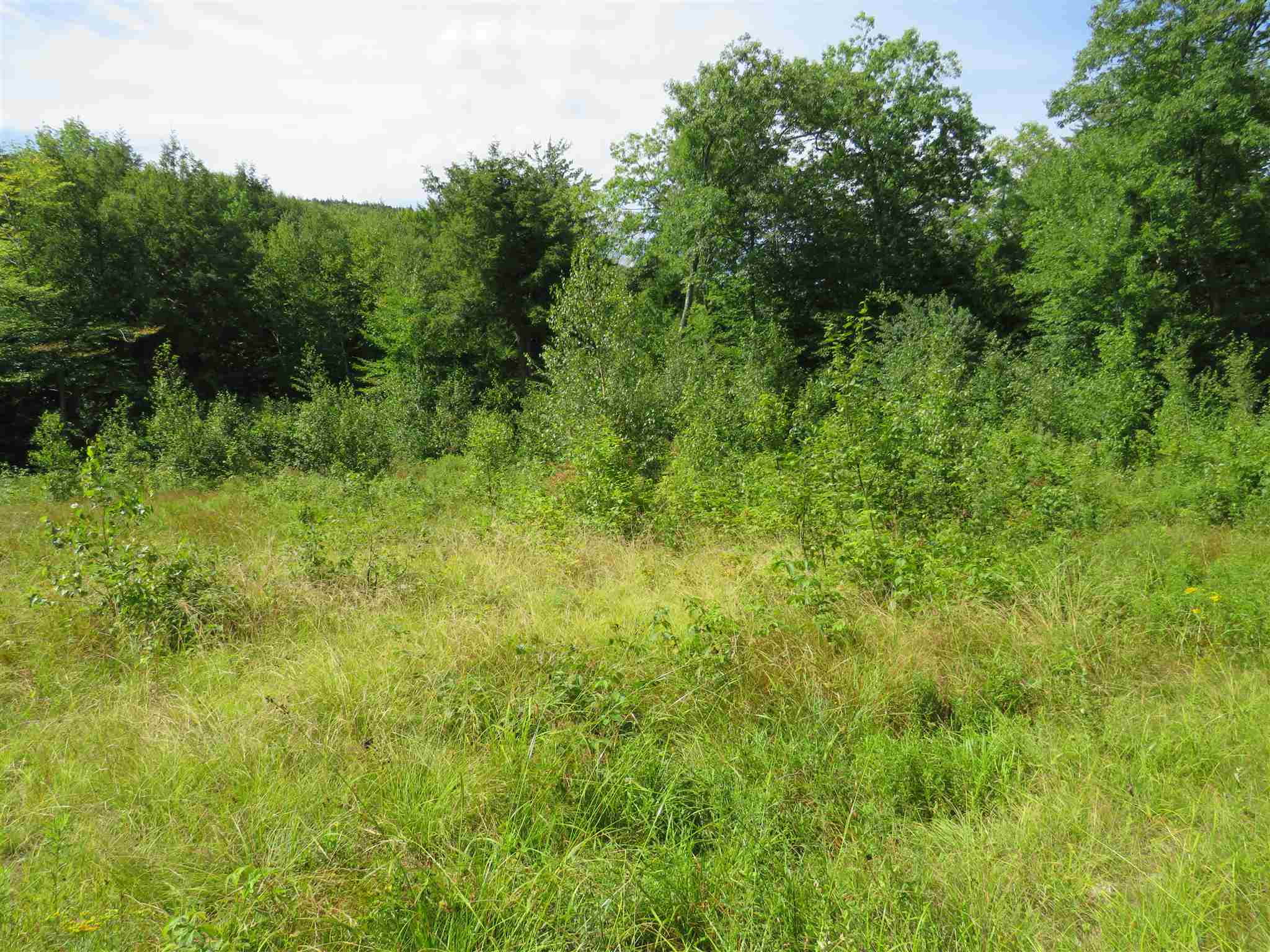 Lot 7-8 Hebron Road Alexandria, NH 03222 - Photo 5 of 27 Gallery Image 5