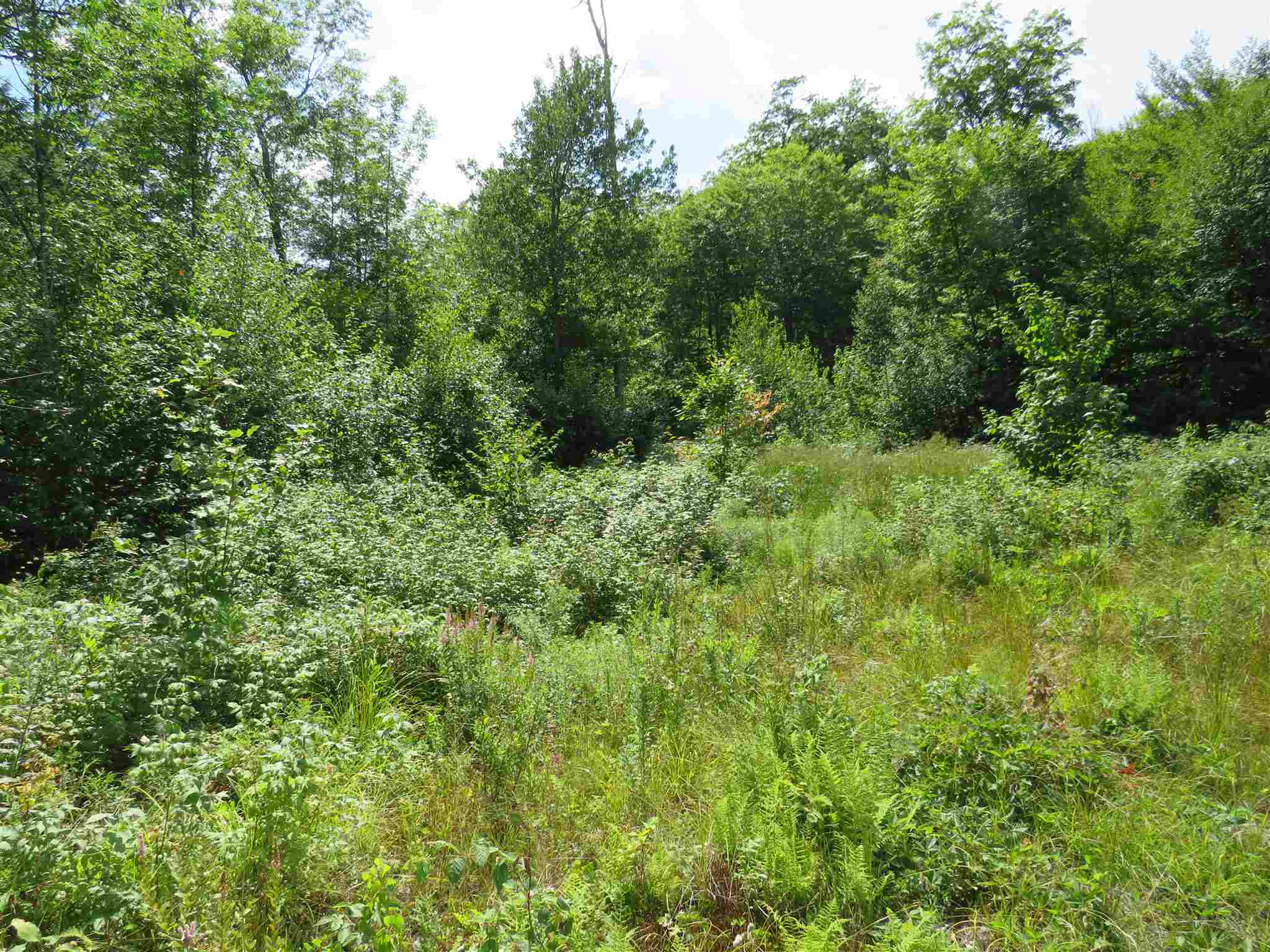 Lot 7-8 Hebron Road Alexandria, NH 03222 - Photo 6 of 27 Gallery Image 6