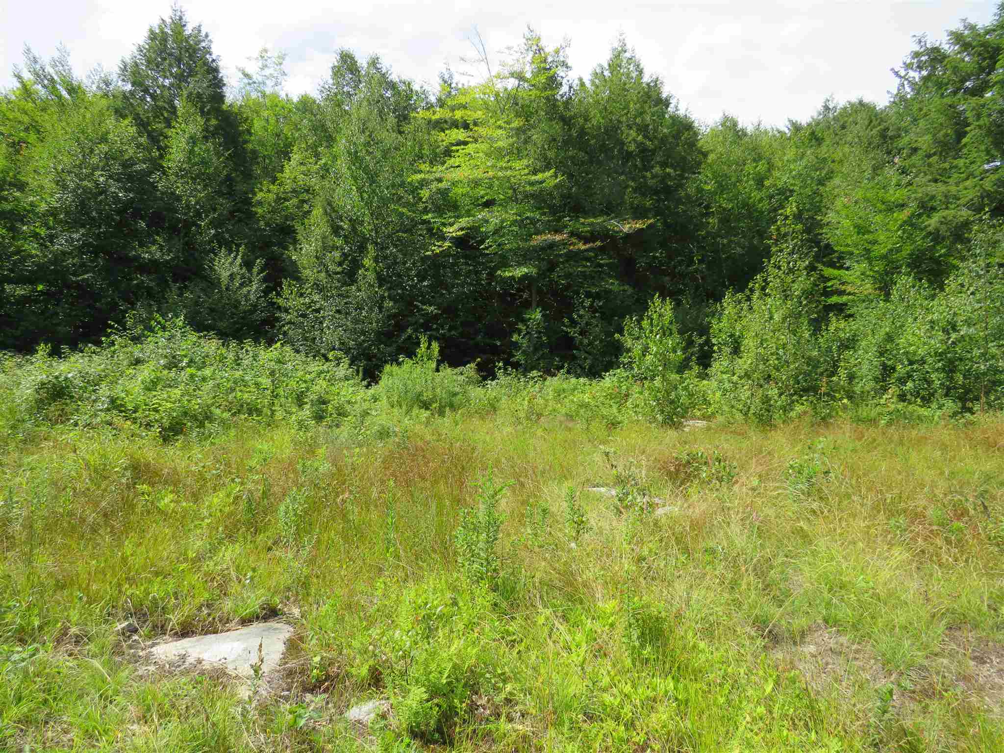 Lot 7-8 Hebron Road Alexandria, NH 03222 - Photo 7 of 27 Gallery Image 7