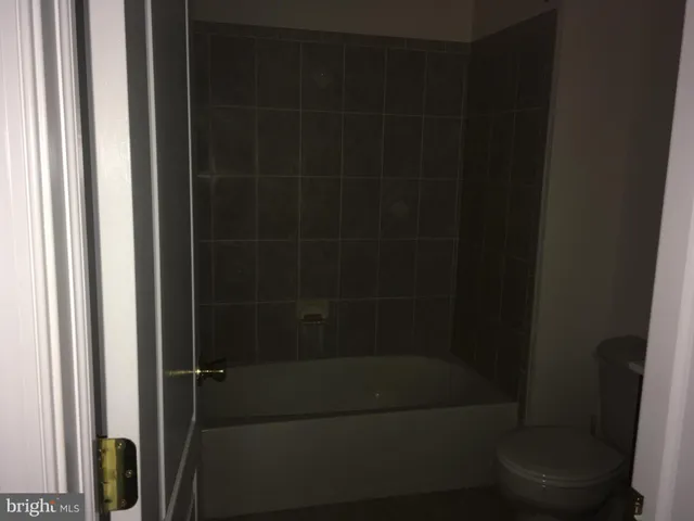 a bathroom with a shower and toilet