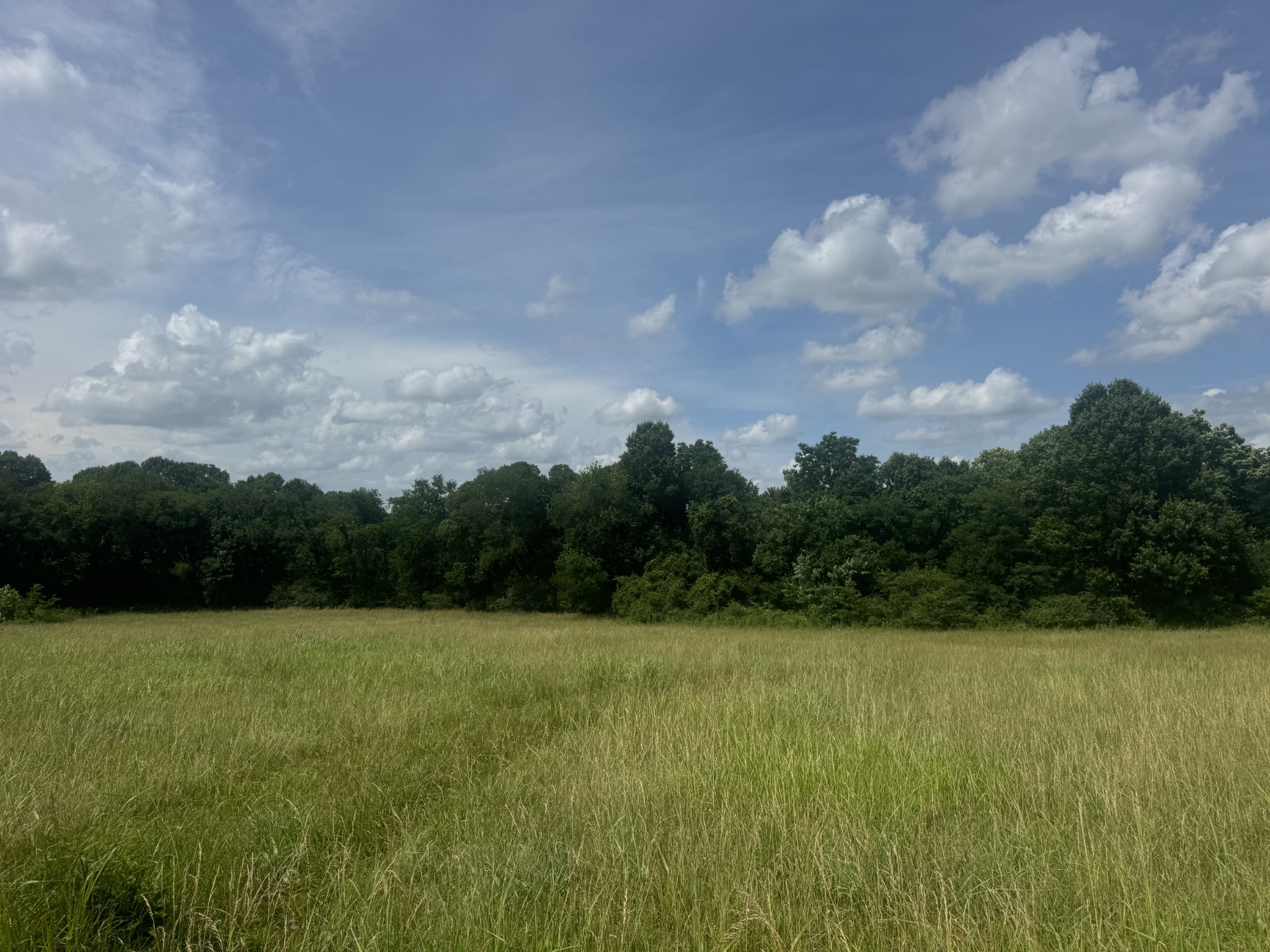 210 Wheel Road Shelbyville, TN 37160 - Photo 10 of 19