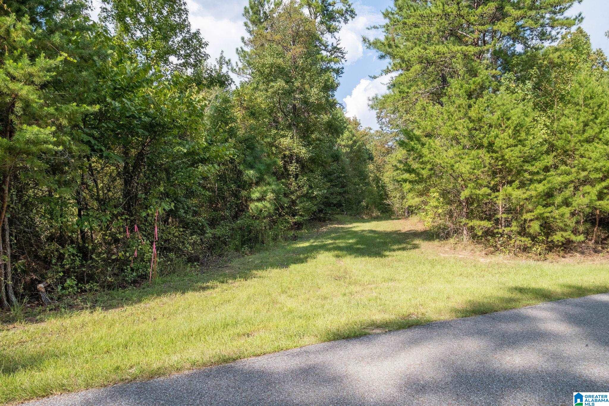 Lot 11 County Road 730, Unit 11 Clanton, AL 35046 - Photo 10 of 14