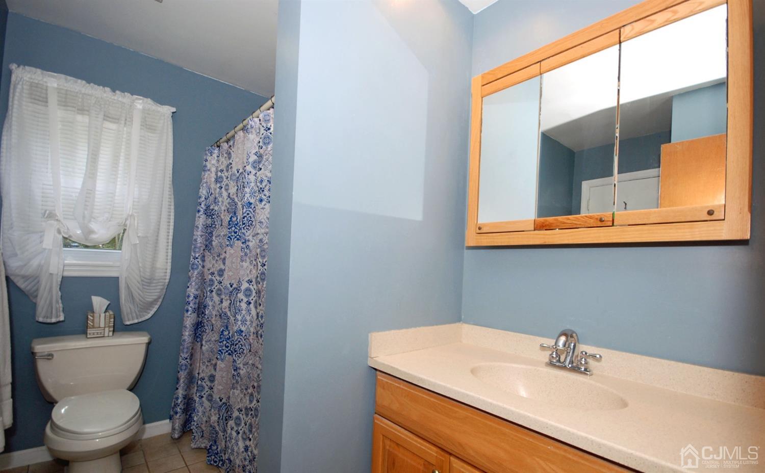 61 Greenbrook Road Middlesex, NJ 08846 - Photo 14 of 29 a bathroom with a sink and a toilet