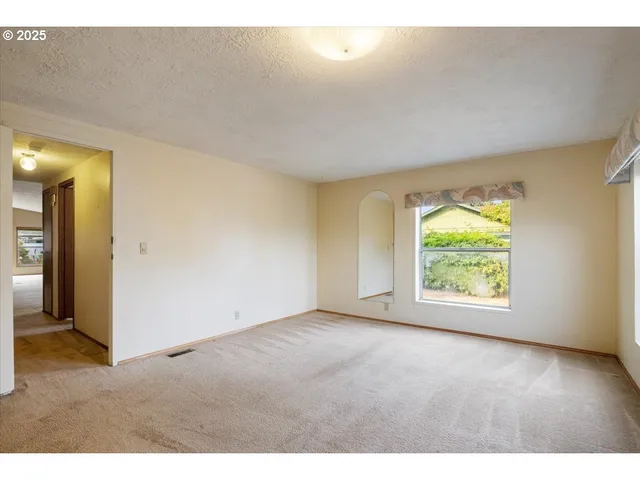 a view of a garden with a tree