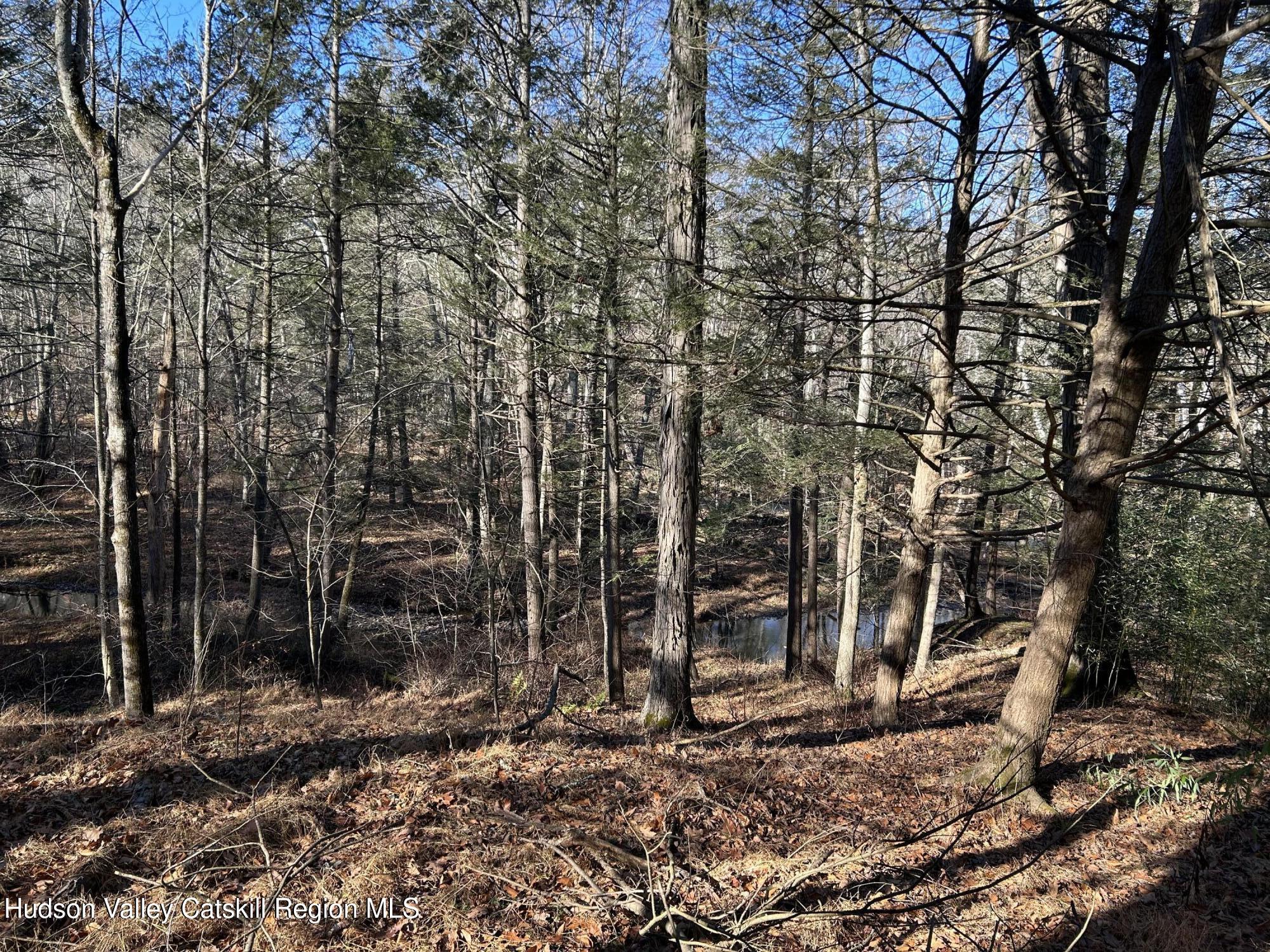 26 Mossybrook Road High Falls, NY 12440 - Photo 20 of 29 IMG_8254