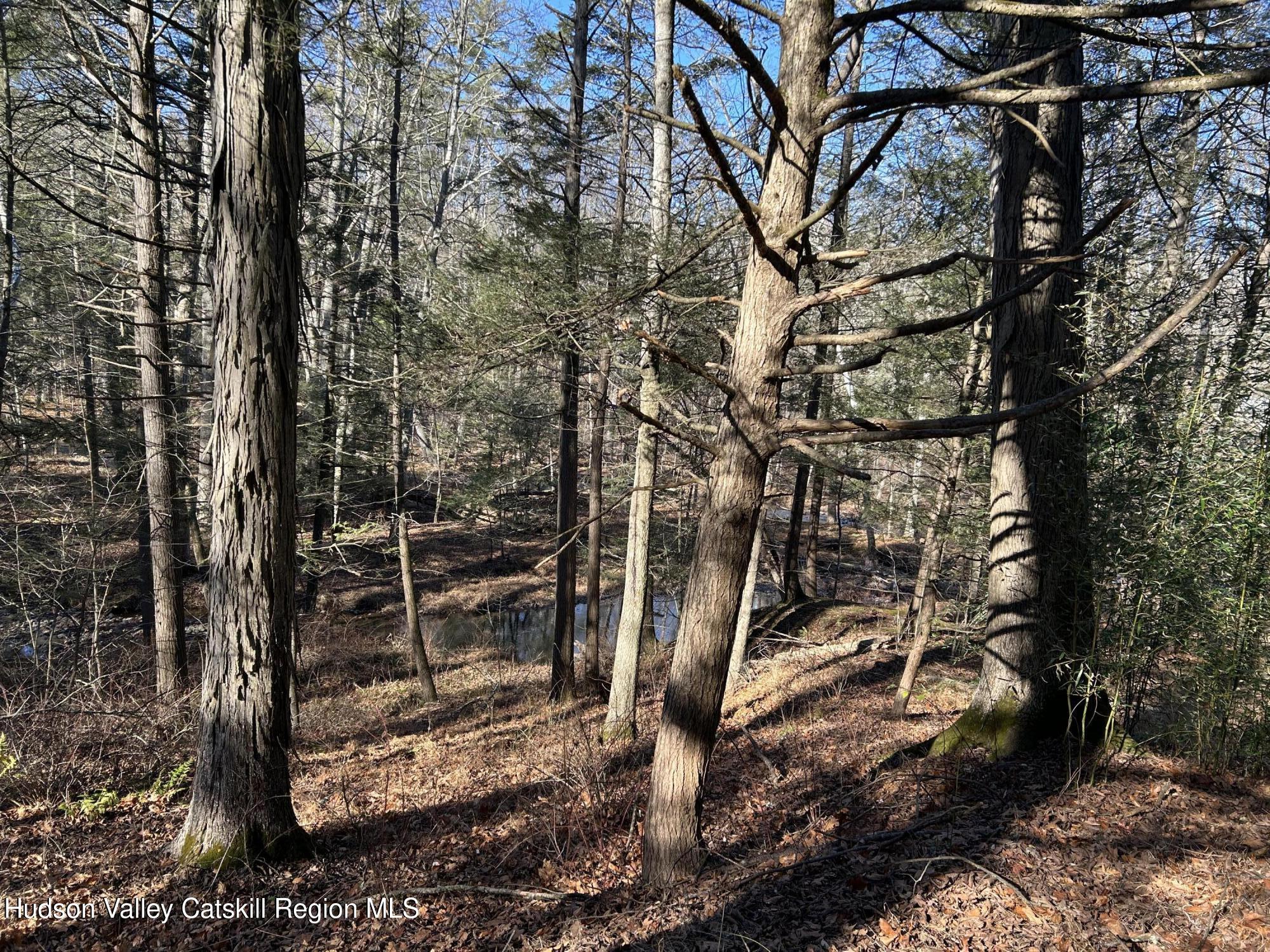 26 Mossybrook Road High Falls, NY 12440 - Photo 21 of 29 IMG_8255