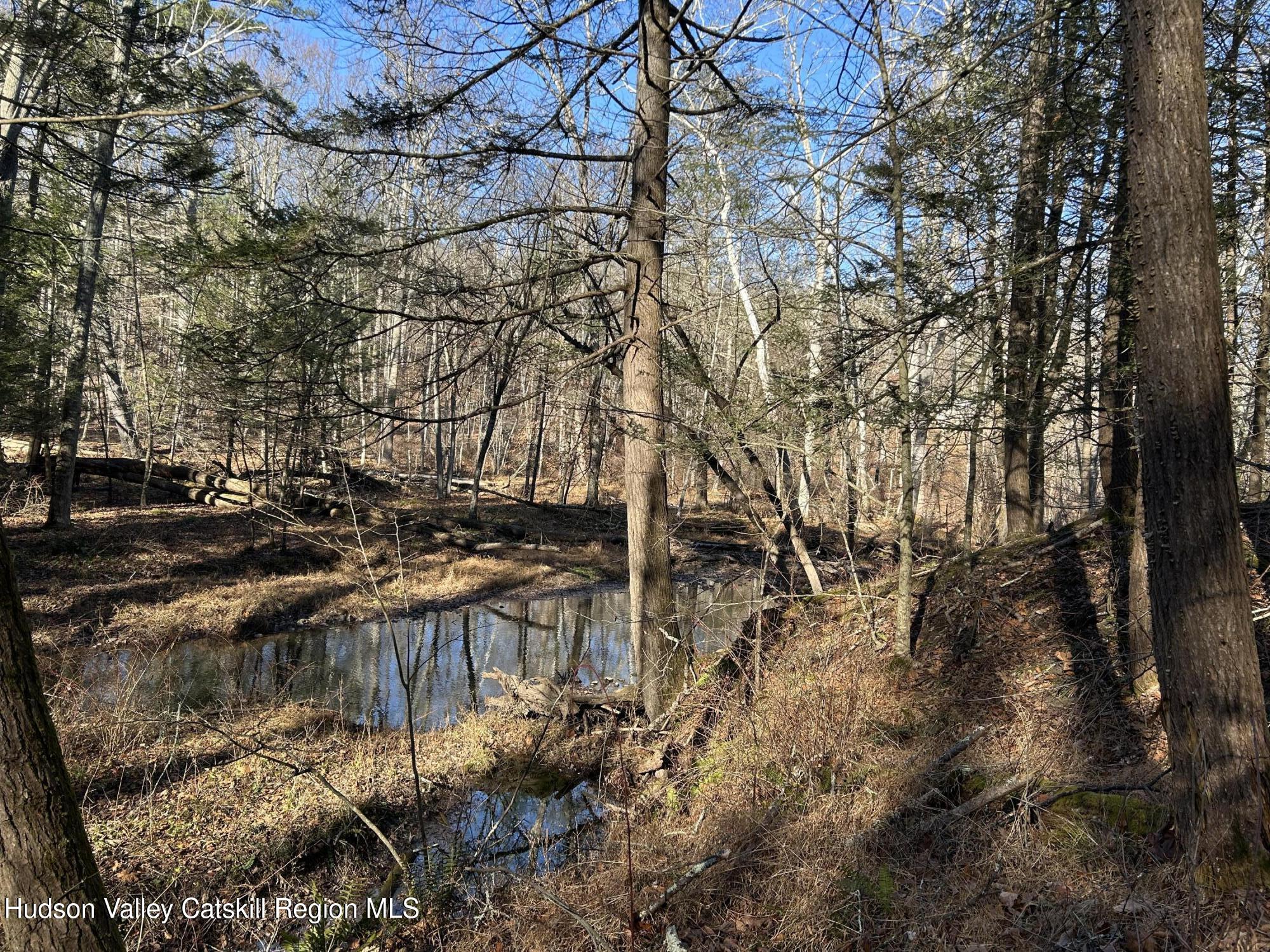 26 Mossybrook Road High Falls, NY 12440 - Photo 23 of 29 IMG_8257
